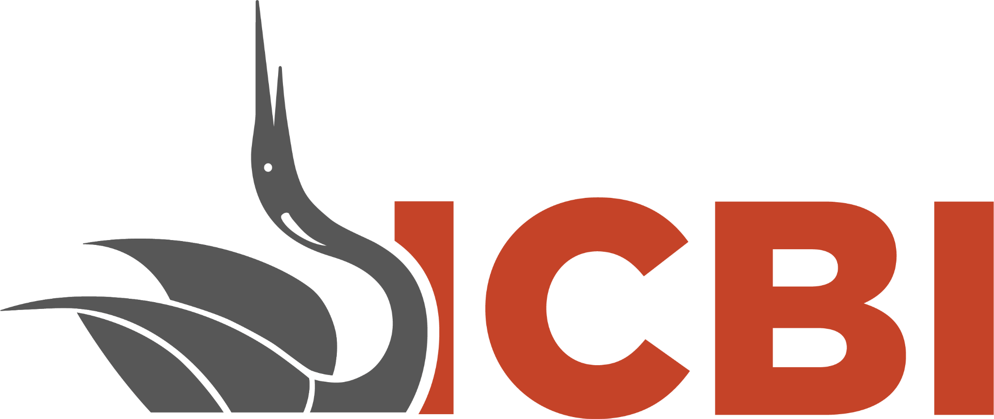 Instituto de Ciencias Básicas e Ingeniería